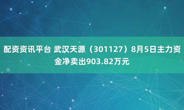 配资资讯平台 武汉天源（301127）8月5日主力资金净卖出903.82万元